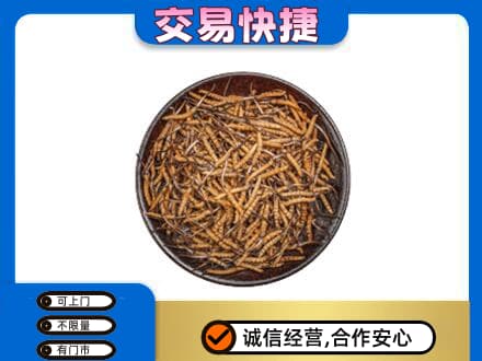 那曲市索县回收散虫草